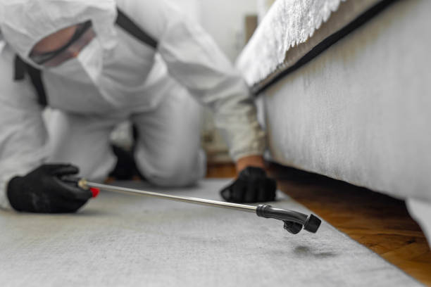 Professional Bed Bug Control technician working in Amherst, TX