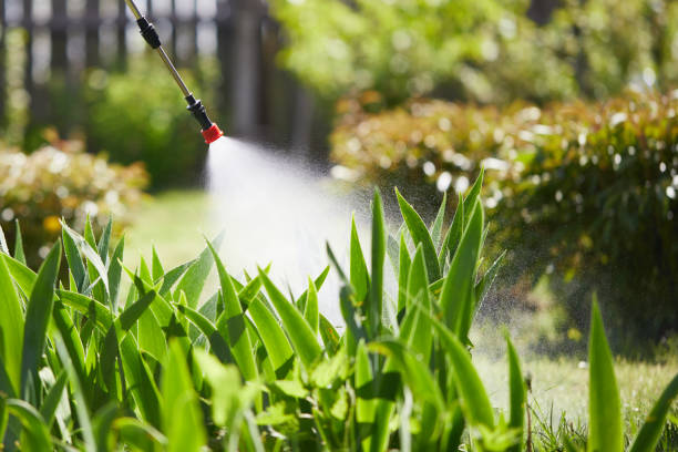 24/7 Emergency Bed Bug Control experts in Amherst, TX