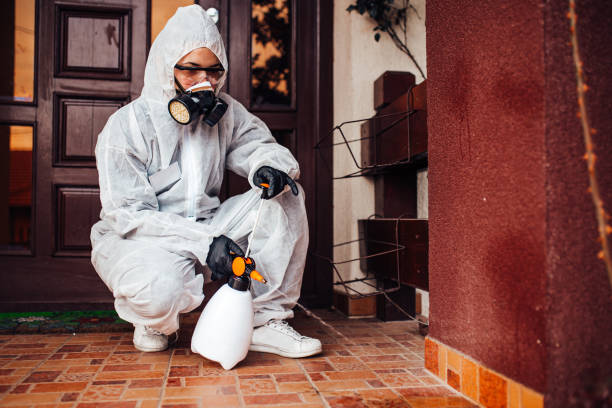 Reliable Bed Bug Control contractor in Amherst, TX by Nex Pest Control